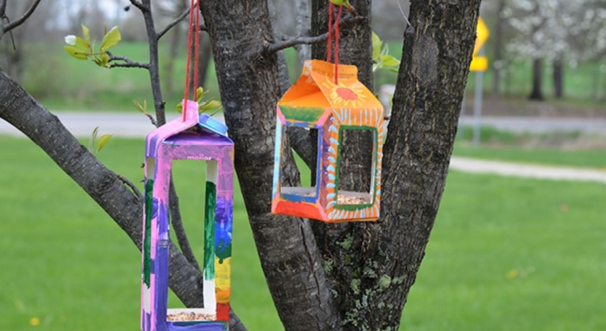 Build a Birdhouse Things to Do on a Weekend With Kids