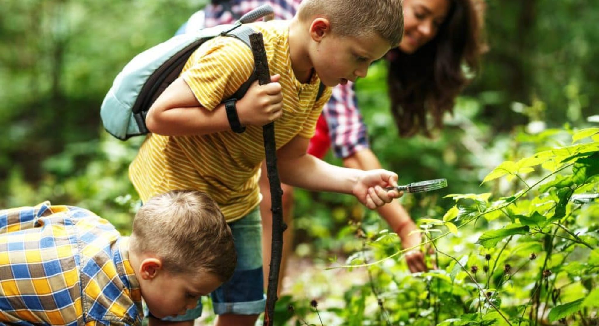 Explore a Nature Trail Fun Things to Do on Weekends With Kids