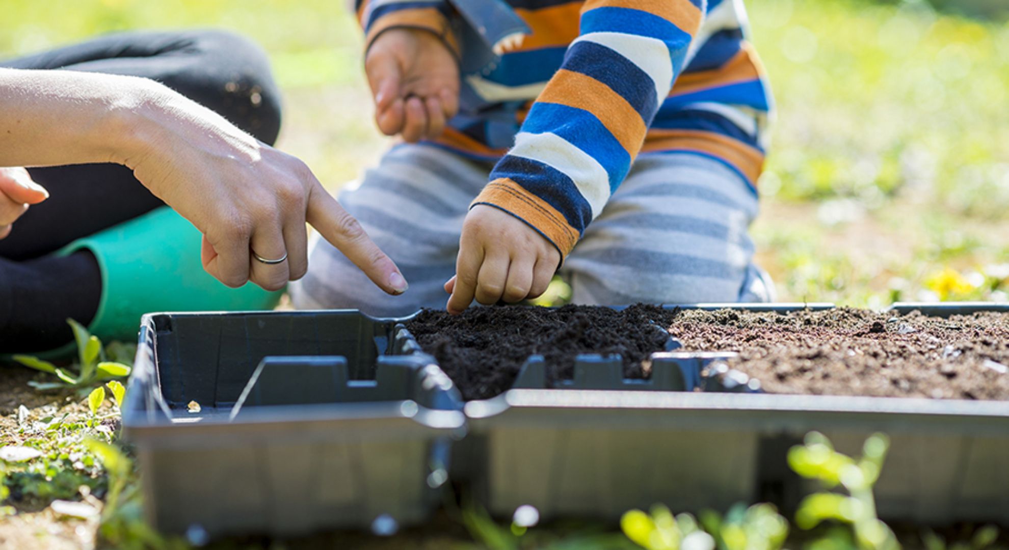 Plant a Mini Garden Things to Do on a Weekend With Kids