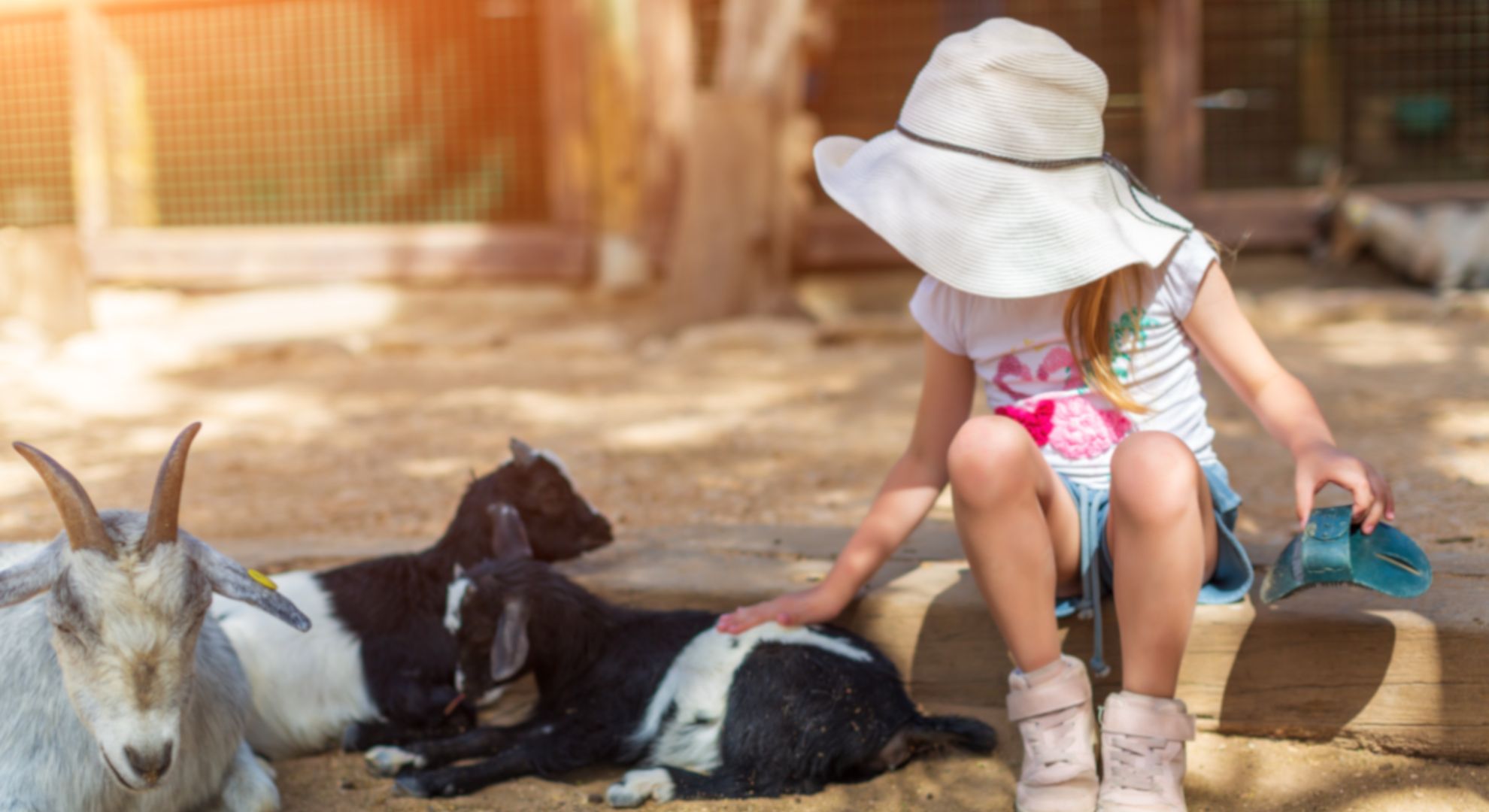 Visit a Petting Zoo or Farm Things to Do on a Weekend With Kids