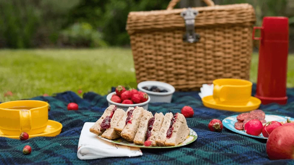 Picnic at the Park